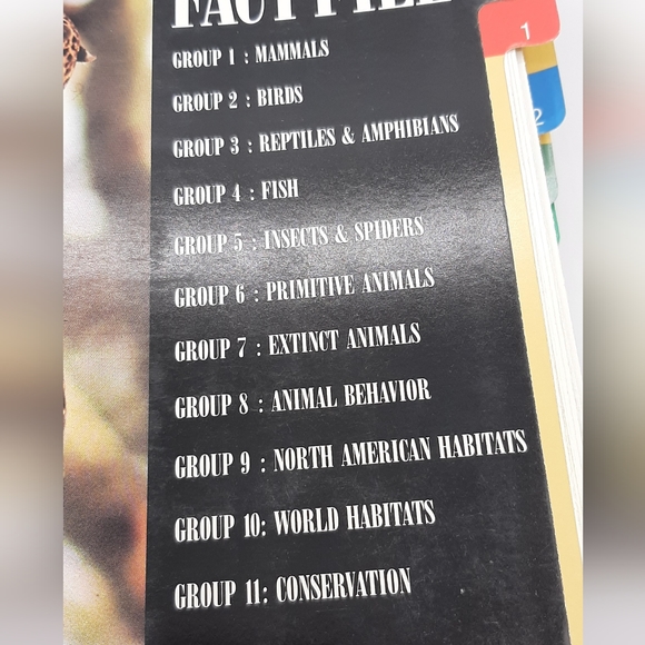 Vintage 1990 WILDLIFE FACT FILE Animal Binder 11 Dividers 260+ Cards Homeschool - Picture 5 of 10